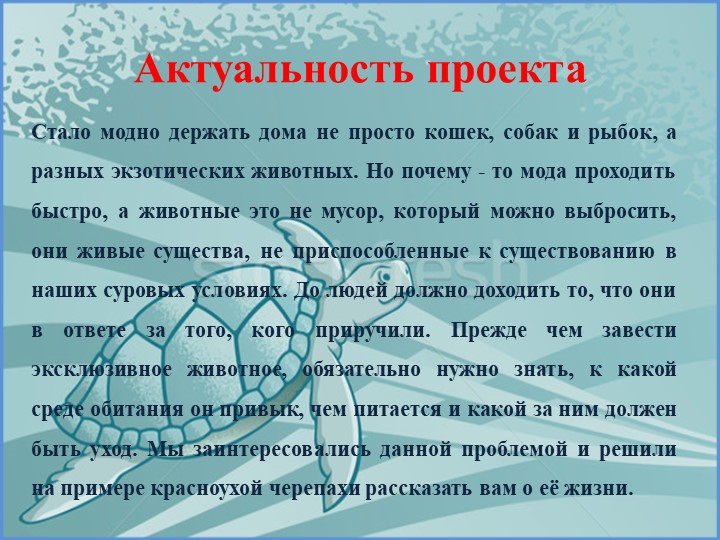 Проект на тему «Красноухая черепаха»