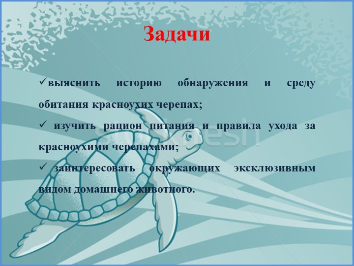 Проект на тему «Красноухая черепаха»
