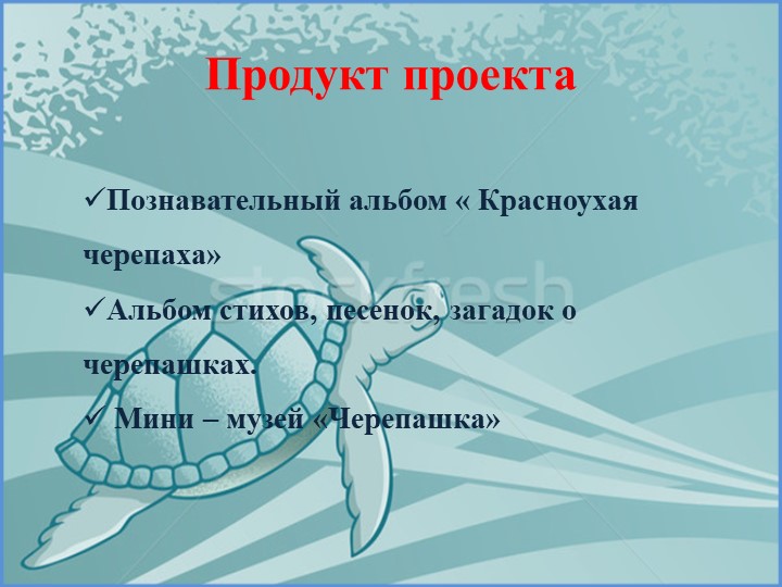 Проект на тему «Красноухая черепаха»