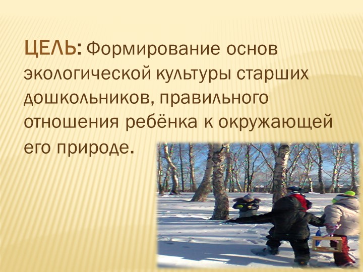 Презентация по формированию экологической культуры