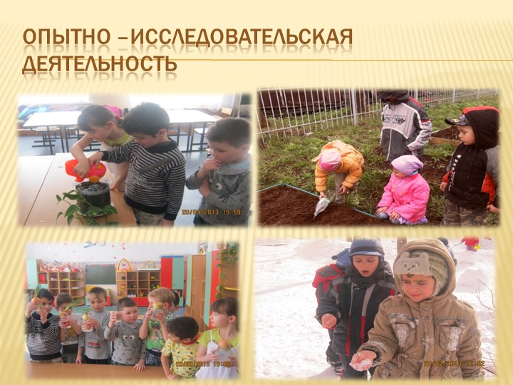 Презентация по формированию экологической культуры