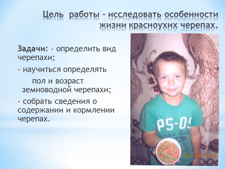 Презентация по окружающему миру на тему: "Мой друг - черепаха"