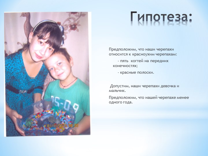 Презентация по окружающему миру на тему: "Мой друг - черепаха"