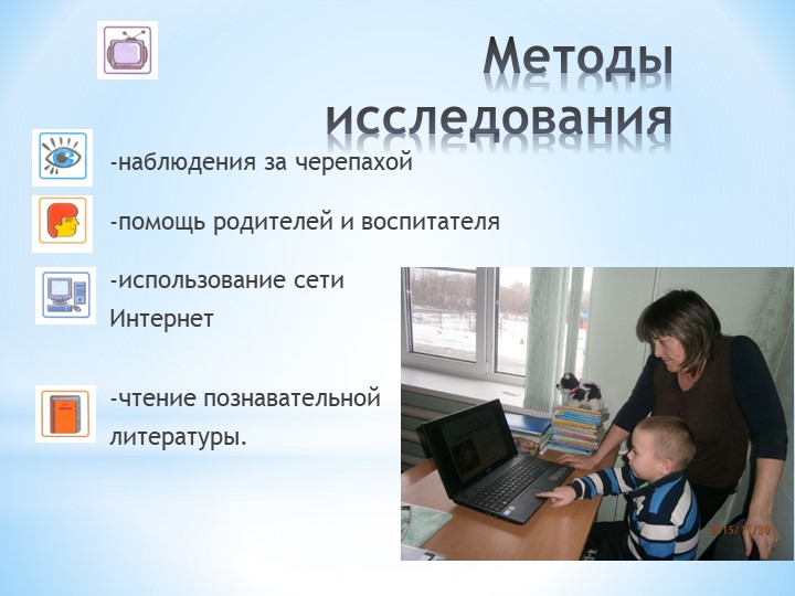 Презентация по окружающему миру на тему: "Мой друг - черепаха"