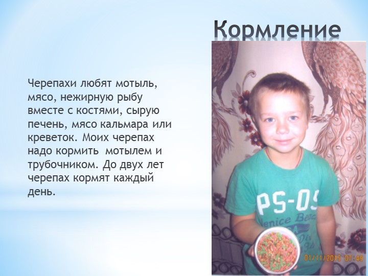 Презентация по окружающему миру на тему: "Мой друг - черепаха"