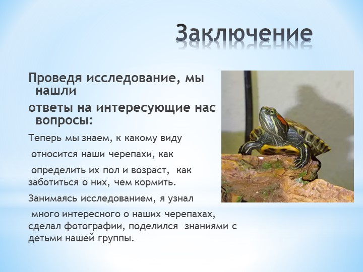 Презентация по окружающему миру на тему: "Мой друг - черепаха"