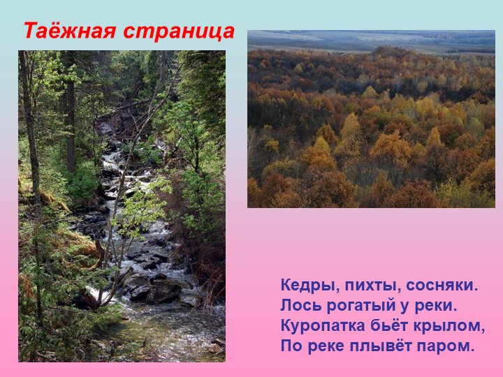 Презентация на тему "мой родной край"