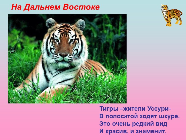 Презентация на тему "мой родной край"