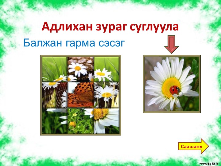 Презентация "Балжан гарма" по бурятскому языку для доу