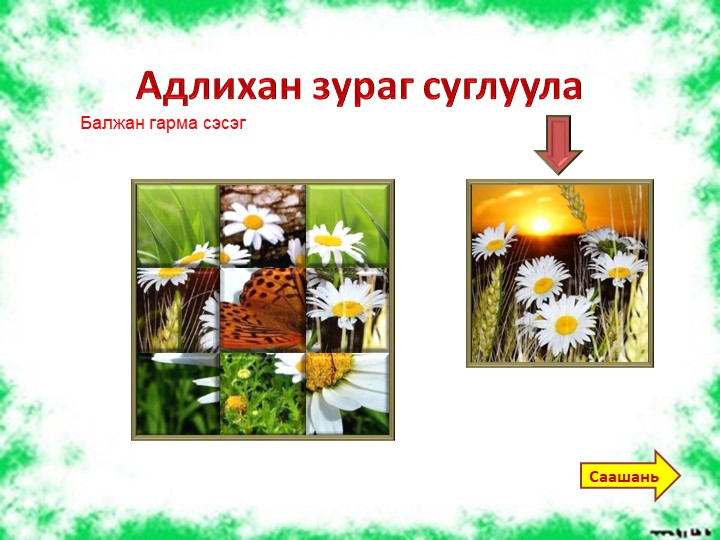 Презентация "Балжан гарма" по бурятскому языку для доу