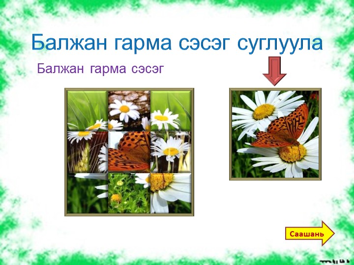 Презентация "Балжан гарма" по бурятскому языку для доу