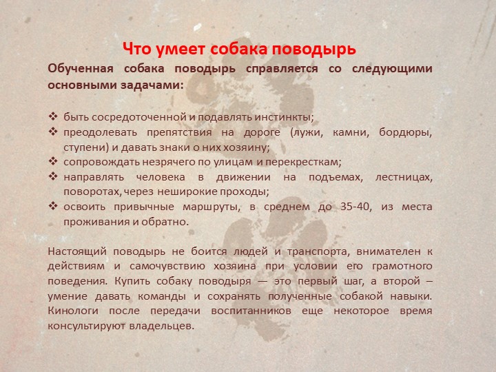 Презентация " Собаки поводыри"