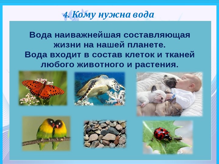 Презентация по формированию целостности картины мира " Мир воды"