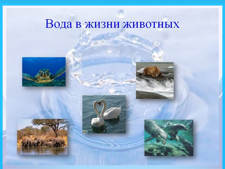 Презентация по формированию целостности картины мира " Мир воды"