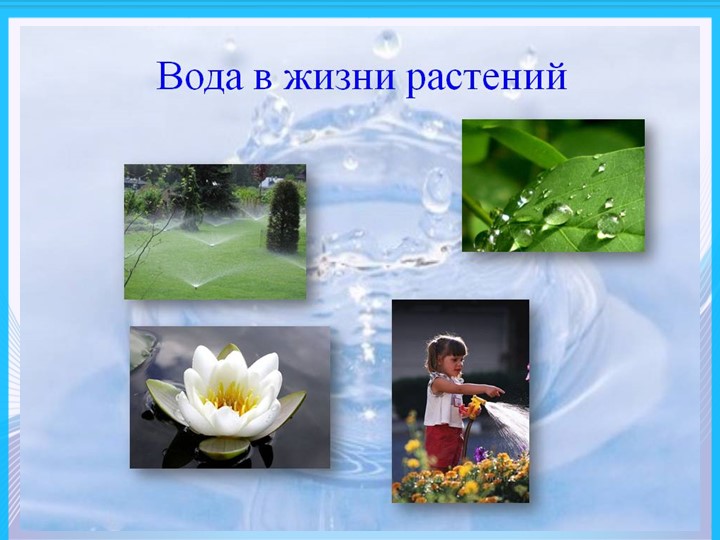 Презентация по формированию целостности картины мира " Мир воды"