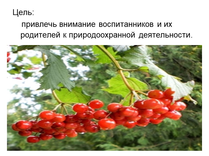 Презентация экологическое воспитание "Покормите птиц зимой".