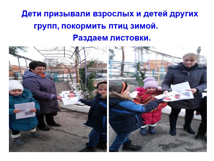 Презентация экологическое воспитание "Покормите птиц зимой".