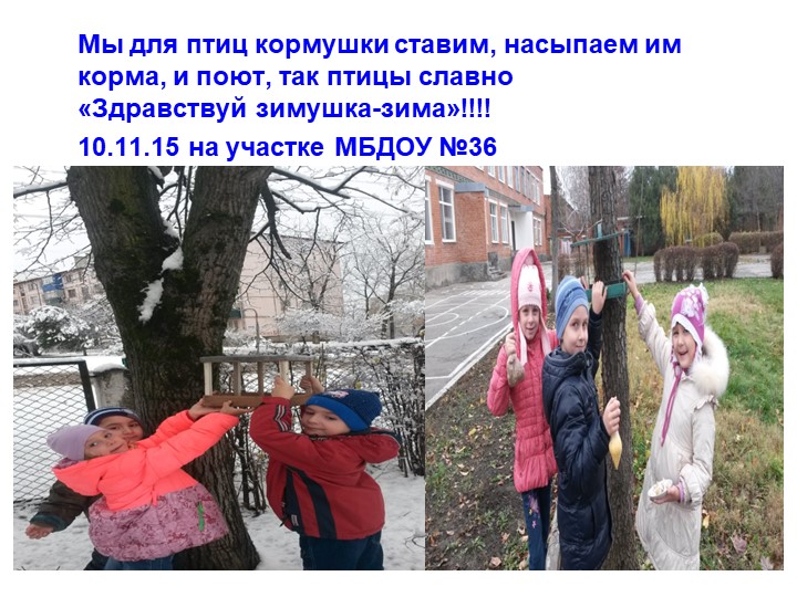 Презентация экологическое воспитание "Покормите птиц зимой".