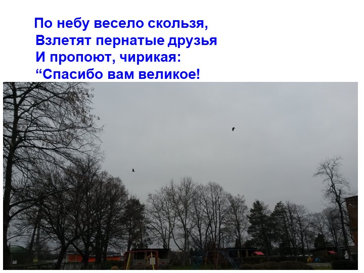 Презентация экологическое воспитание "Покормите птиц зимой".