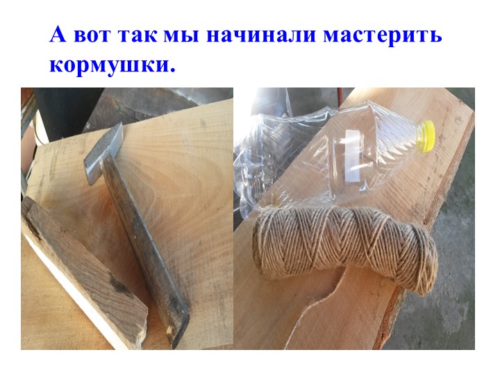 Презентация экологическое воспитание "Покормите птиц зимой".