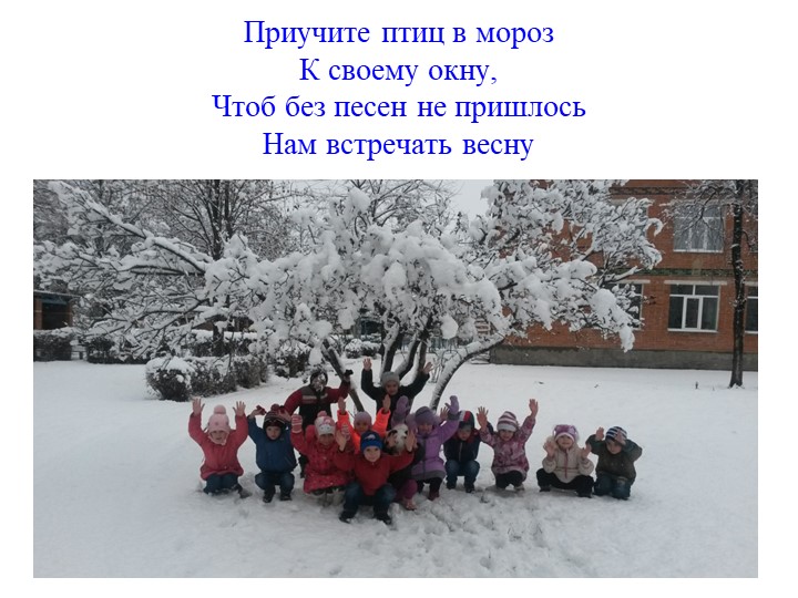Презентация экологическое воспитание "Покормите птиц зимой".