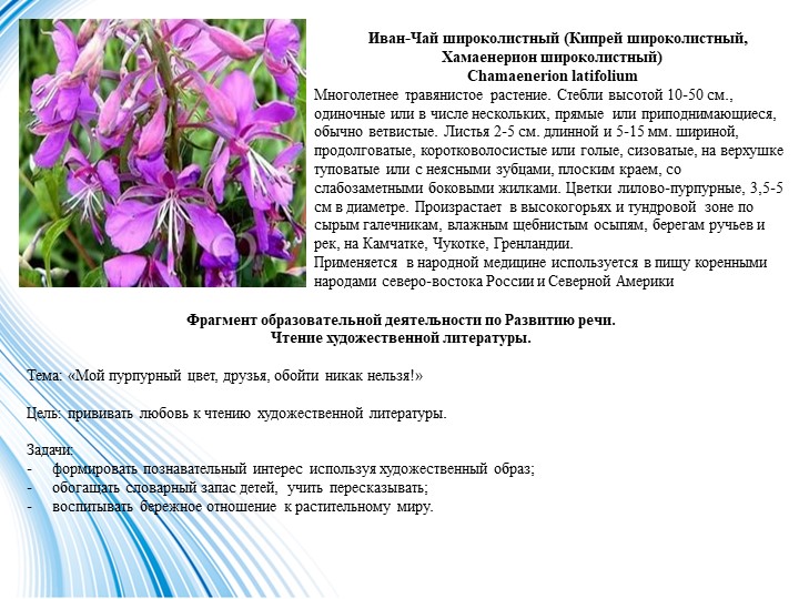 Презентация в старшей разновозрастной группе на тему "Заповедная Чукотка"