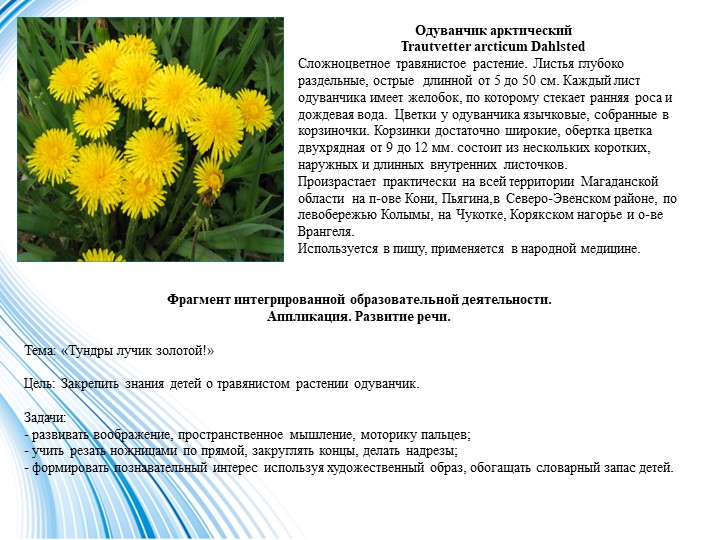 Презентация в старшей разновозрастной группе на тему "Заповедная Чукотка"