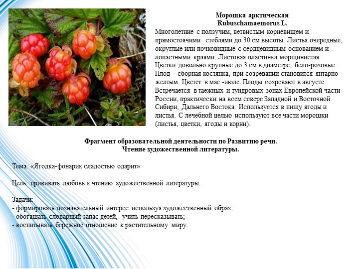 Презентация в старшей разновозрастной группе на тему "Заповедная Чукотка"