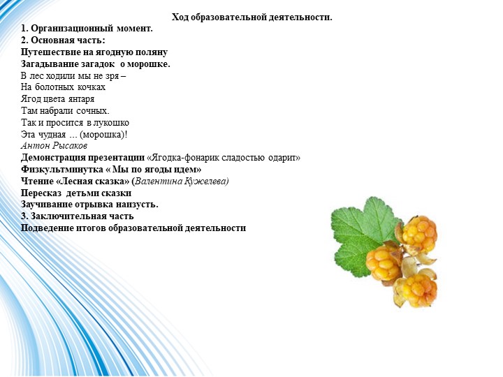 Презентация в старшей разновозрастной группе на тему "Заповедная Чукотка"