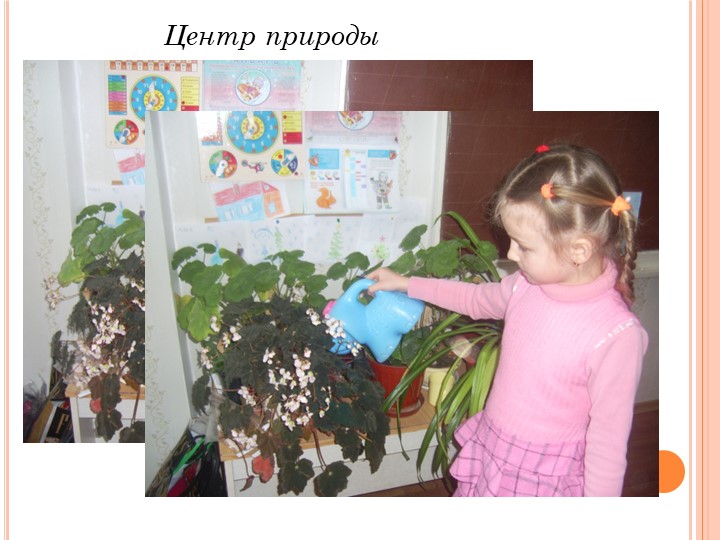 Презентация на тему "Предметно-пространственная развивающая среда"