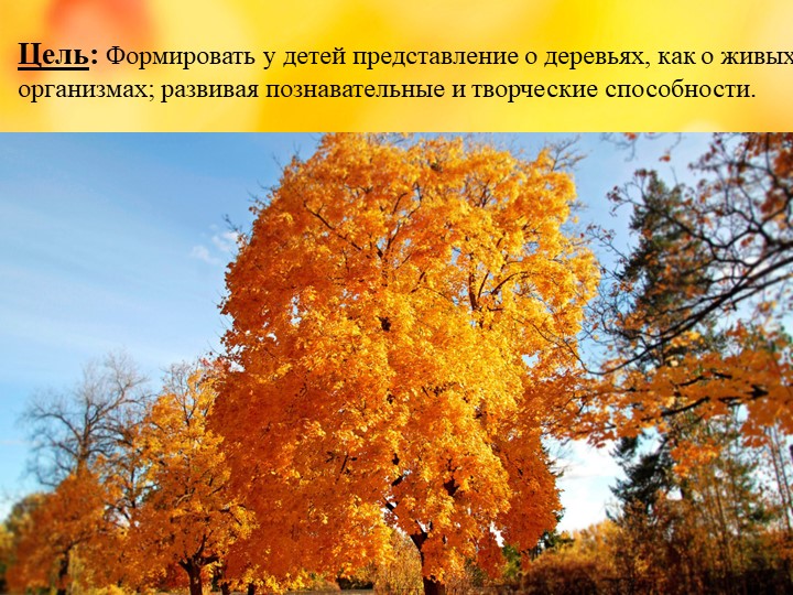 Презентация проекта "Деревья - наши друзья!"