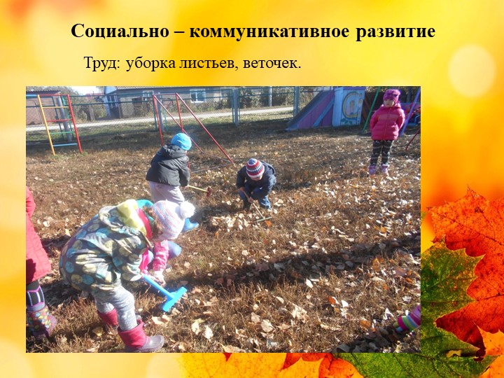 Презентация проекта "Деревья - наши друзья!"