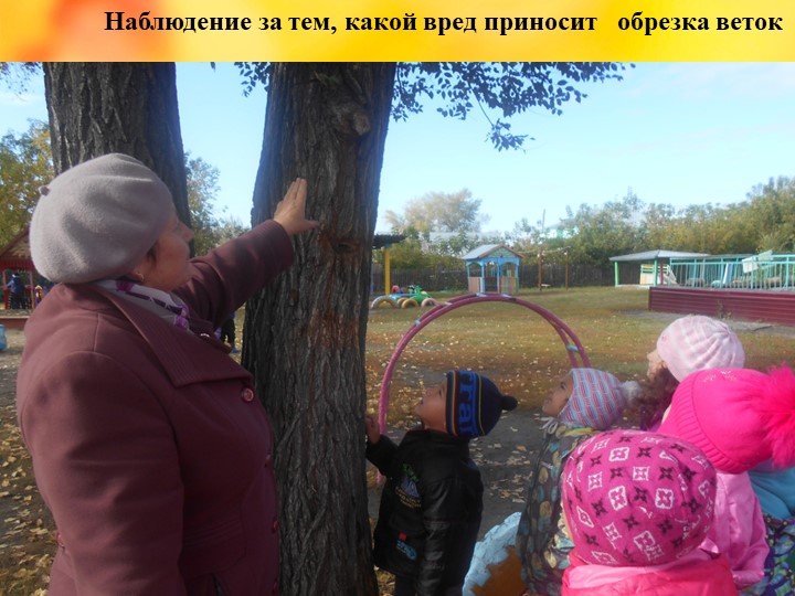Презентация проекта "Деревья - наши друзья!"