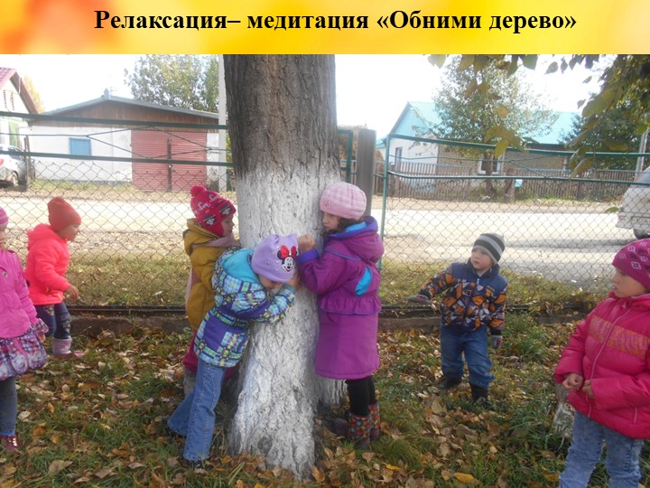 Презентация проекта "Деревья - наши друзья!"