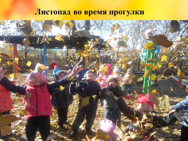 Презентация проекта "Деревья - наши друзья!"