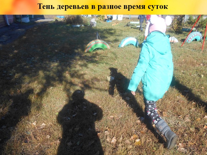 Презентация проекта "Деревья - наши друзья!"