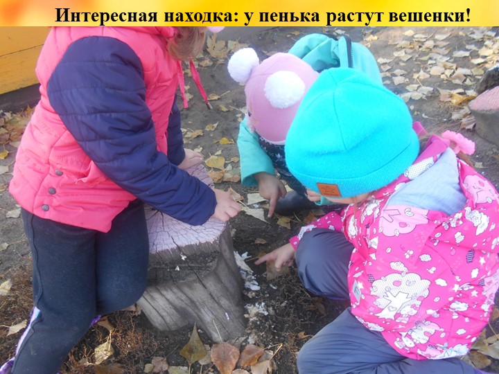 Презентация проекта "Деревья - наши друзья!"
