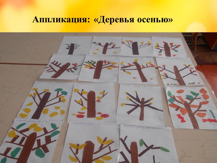 Презентация проекта "Деревья - наши друзья!"