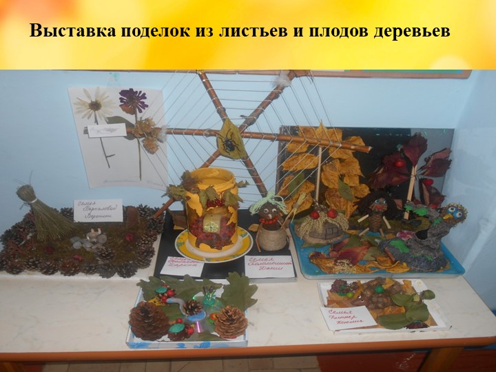 Презентация проекта "Деревья - наши друзья!"