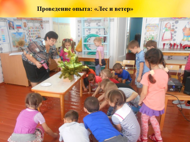 Презентация проекта "Деревья - наши друзья!"