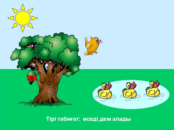 "Тірі және өлі табиғат" балаларға арналған презентация