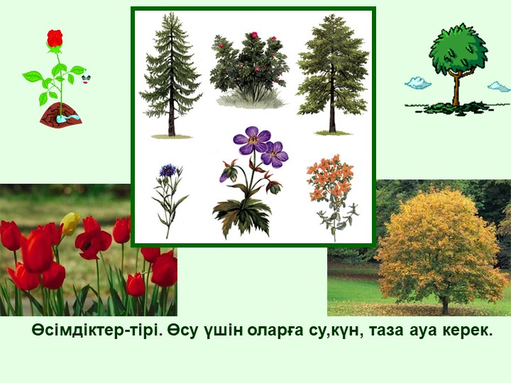 "Тірі және өлі табиғат" балаларға арналған презентация