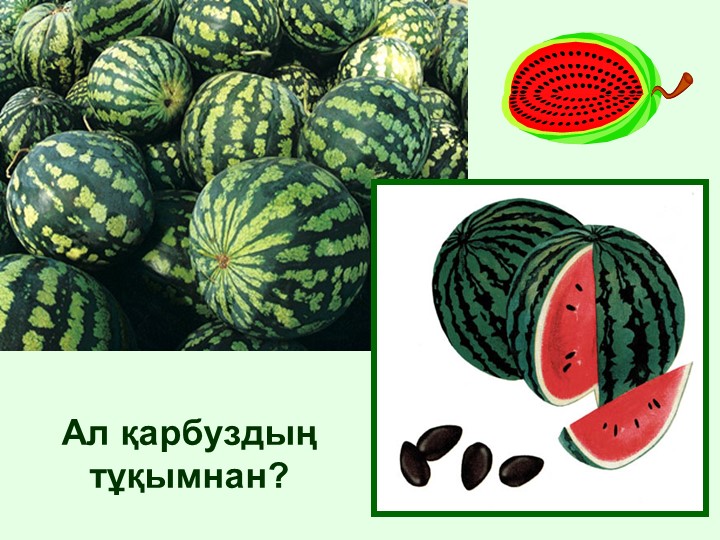 "Тірі және өлі табиғат" балаларға арналған презентация