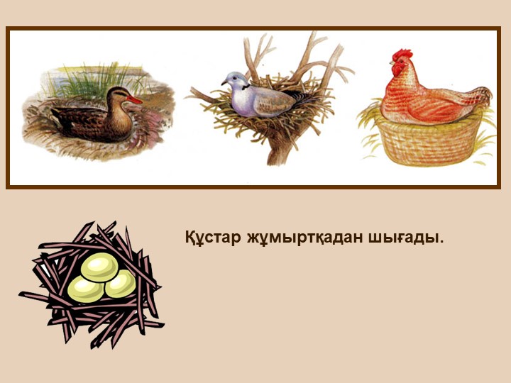 "Тірі және өлі табиғат" балаларға арналған презентация