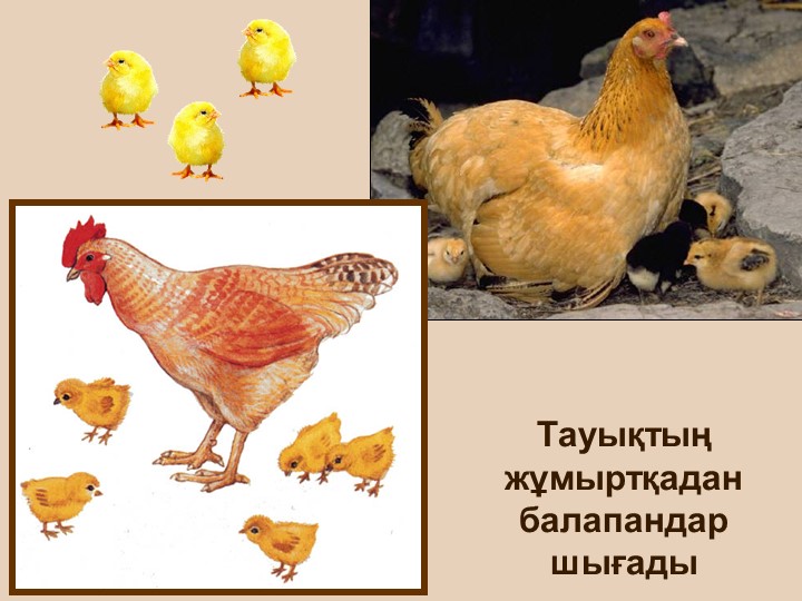 "Тірі және өлі табиғат" балаларға арналған презентация