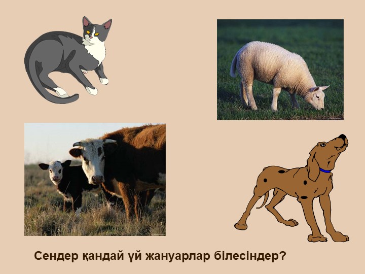 "Тірі және өлі табиғат" балаларға арналған презентация