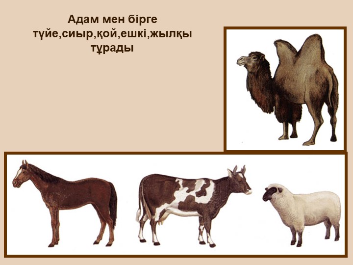 "Тірі және өлі табиғат" балаларға арналған презентация