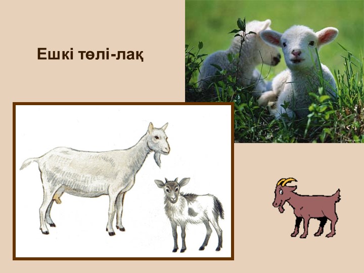 "Тірі және өлі табиғат" балаларға арналған презентация