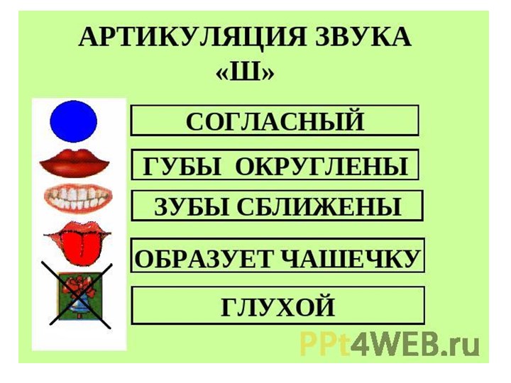 Презентация : С-Ш НОД в подготовительной группе для детей с ЗПР