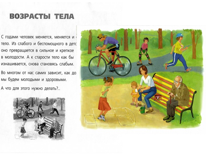 Презентация к занятию по первой помощи "Части тела"